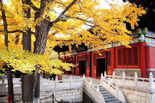 青龍峽踏青、紅螺寺賞紅