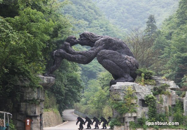 宜昌、三峽大壩、昭君故里、大九湖、神農(nóng)架5日