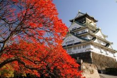 黃金升級版日本全景-大阪進(jìn)東京出六日樂享之旅